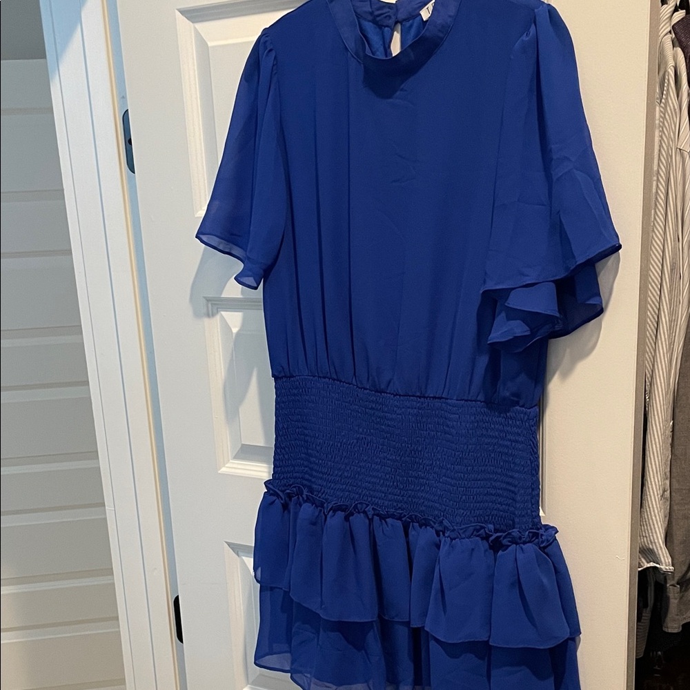 TCEC Royal Blue Ruffle Dress Size Large